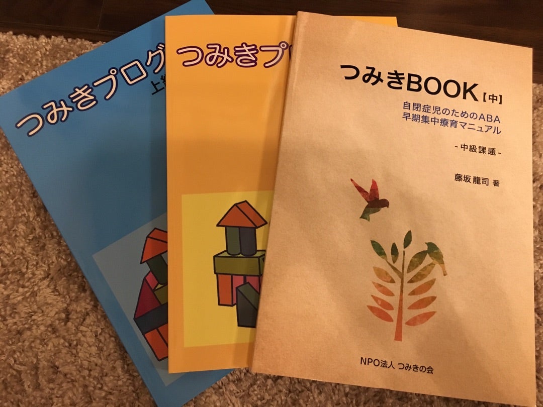 つみきBOOK(上・中・就学期編)&つみきプログラム(上級編)&付属DVD