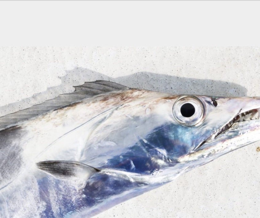 ゆる薬膳 太刀魚 Life Is Balance ゆる薬膳 太刀魚 Life Is Balance