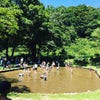 ”市民の森 de 工作＆水遊び！”の画像