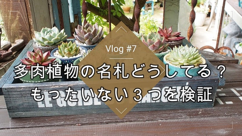 Youtubevlog 7多肉植物のネームタグ Olivegardening With Succulent