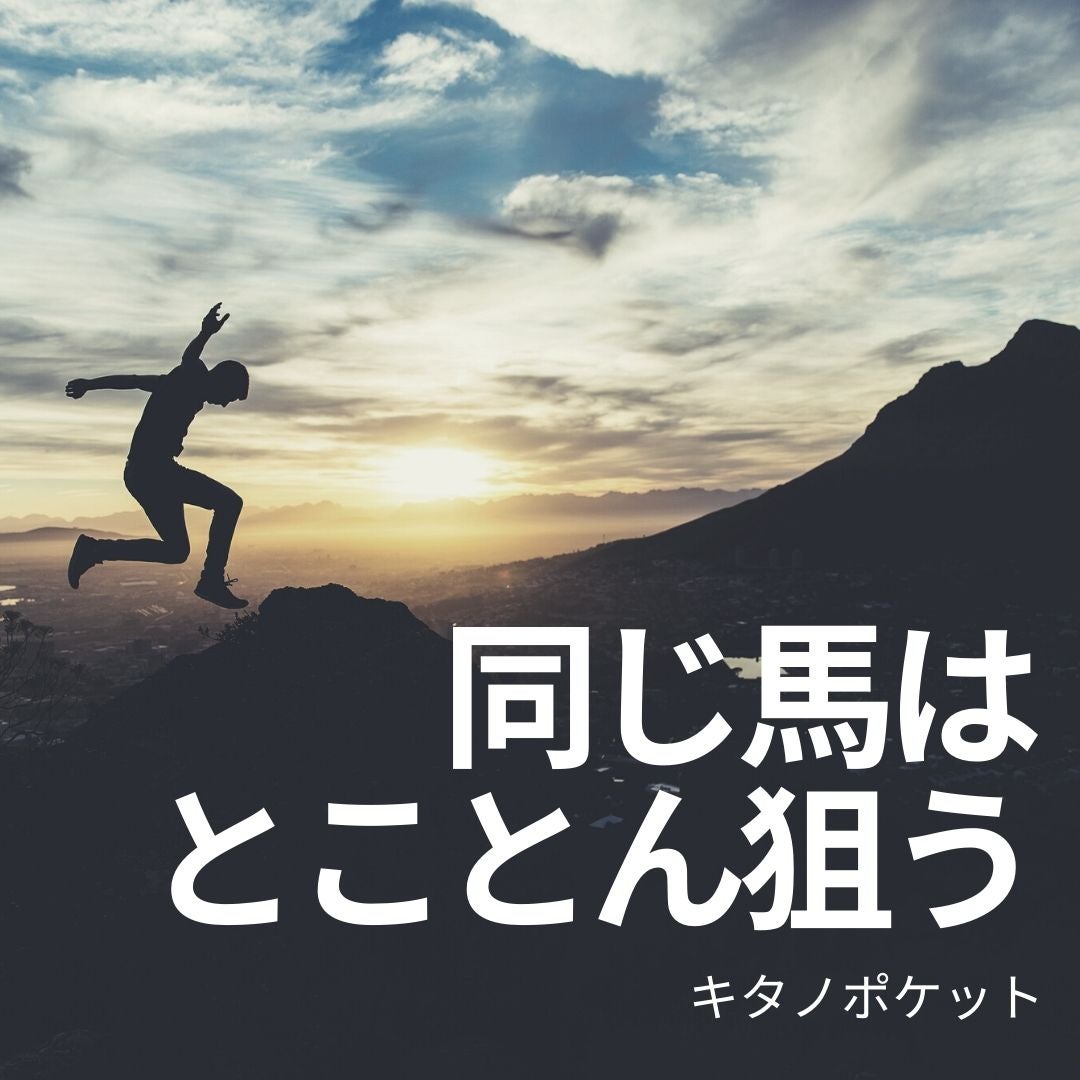 キタノポケットが再び登場！！の記事画像