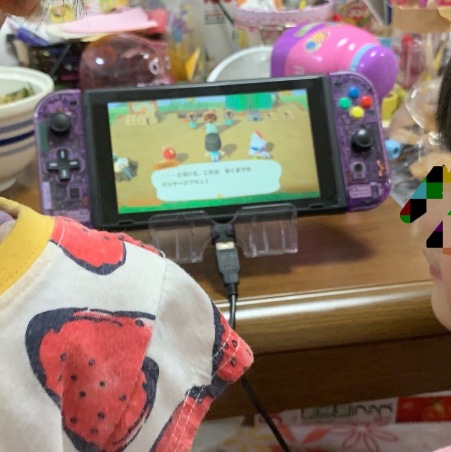 Nintendo switchジャンク品（動作確認） | ダディフィンガーのブログ