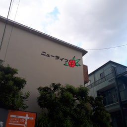 画像 自然のアート。 の記事より 7つ目