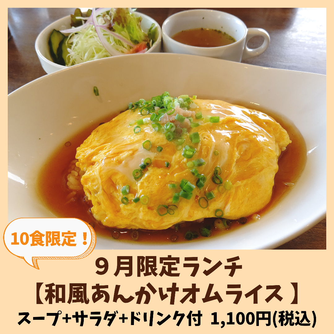 岐阜のおすすめランチ♪「洋食屋 Sorgente(ソルジェンテ)」の記事画像