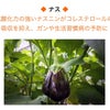 ナス【最強くすり野菜】の画像