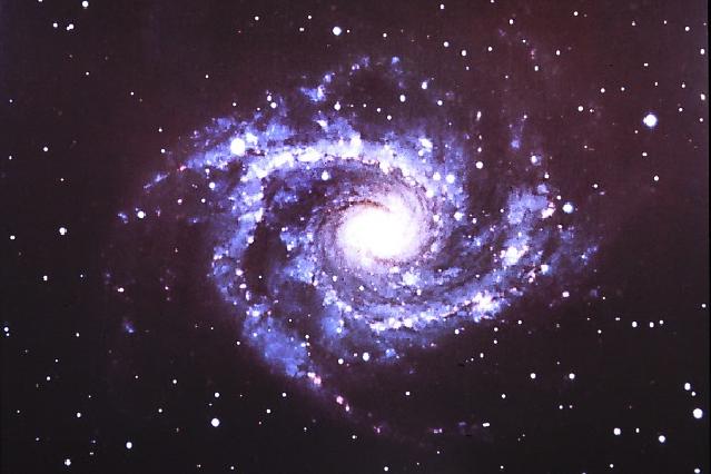 ねぇ、マロン！渦巻銀河NGC2997