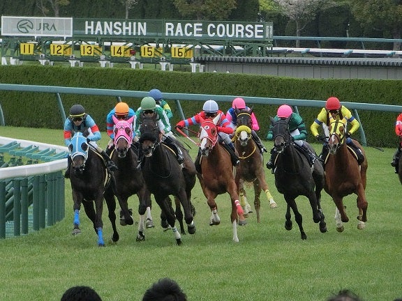 2014年の日本競馬