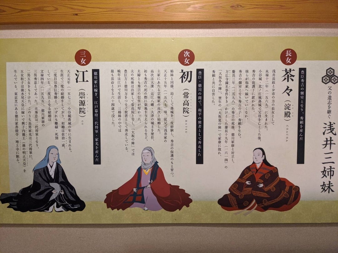 浅井三姉妹、日本の歴史ね。