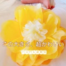 神戸で笑顔の花「ジャンボフラワー」を咲かせます！！の記事より