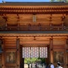 日本総鎮守　大山祇神社の奥の院に行くぞ！の画像