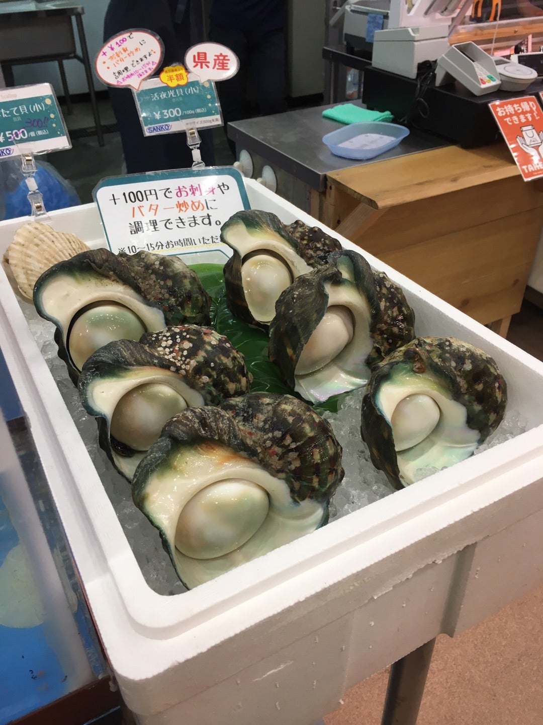 夜光貝 沖縄県産、食用として購入 蓋付き、磨き無し