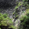 滝撮影　⑥　河津七滝　最終回の画像