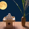 ”中秋の名月　と　牡羊座満月”の画像