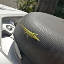ブログ投稿画像