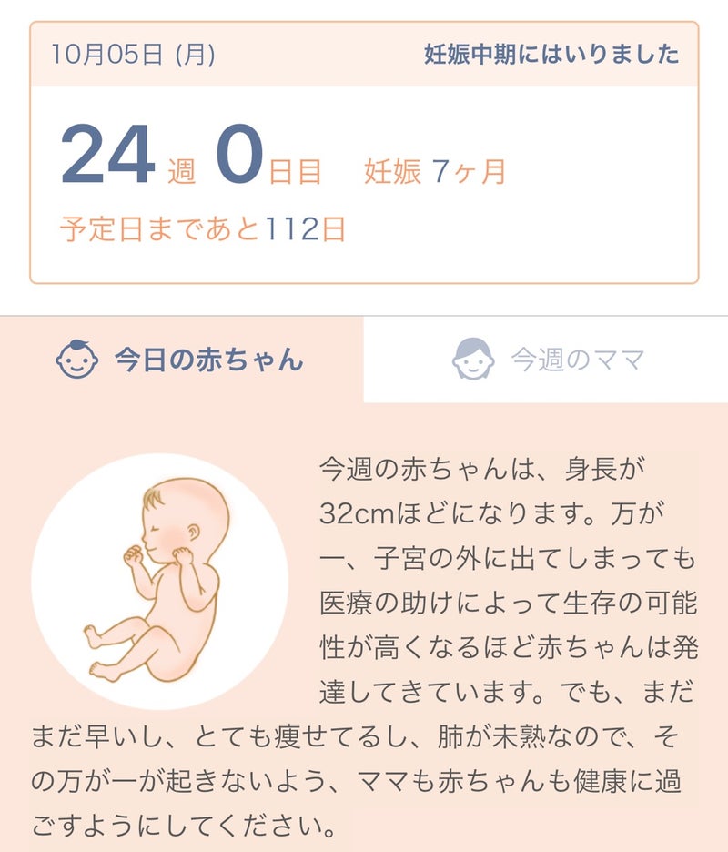 今日から24週 妊娠7ヶ月になりました はじめての育児記録