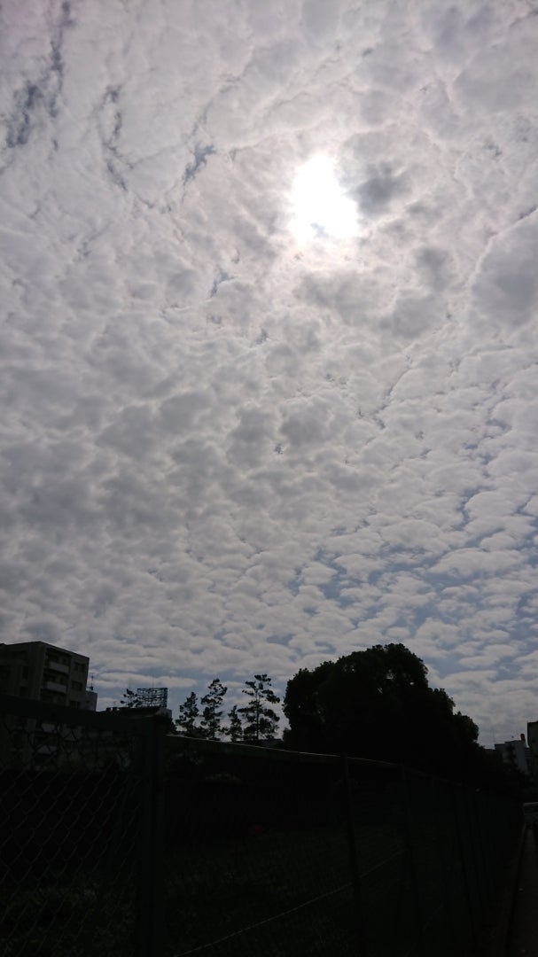 不思議な空 花式部の徒然草