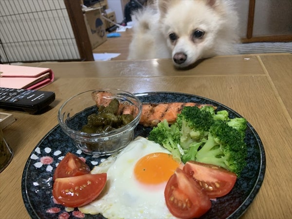 朝ご飯(*´-`*)の記事画像