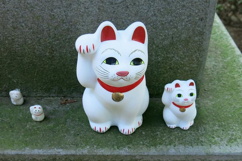 豪徳寺の招福猫児 Nao Sのブログ