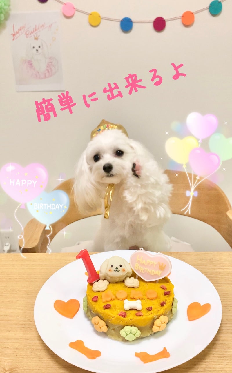 モモの誕生日ケーキ 犬用ケーキ 作り方と道具 ミックス犬 マルプー モモ ほんわか日記