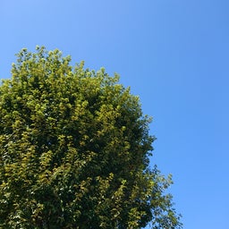 画像 響く の記事より 1つ目