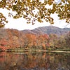 刈込池の紅葉の画像