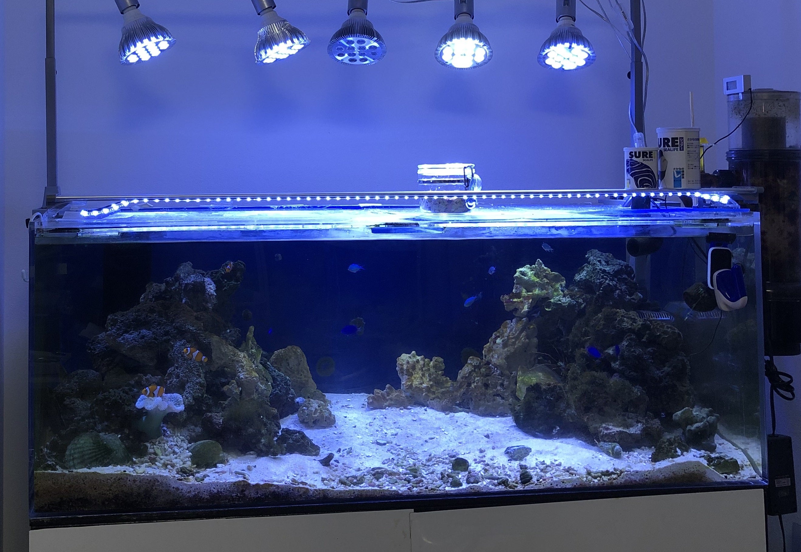 水槽 カラー バックライトスクリーン 120cm×50cm アクアリウム LED日本