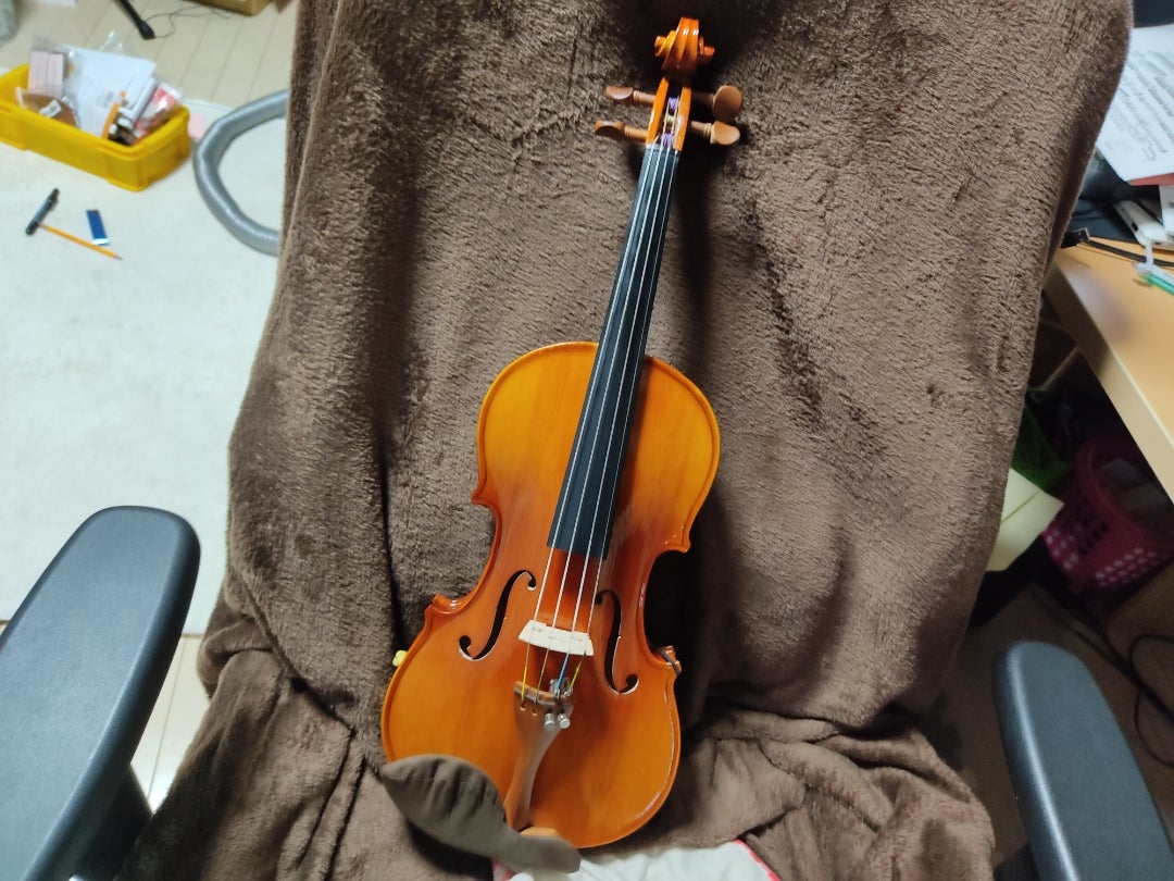 ボタニカルウエディング ヴァイオリン弦 ドミナントADG線 4/4サイズ 通販