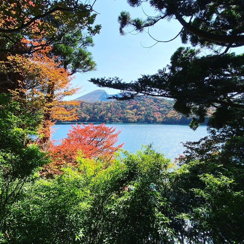 宮崎 鹿児島 えびの高原 紅葉シーズンお散歩 はるばんびーののブログ