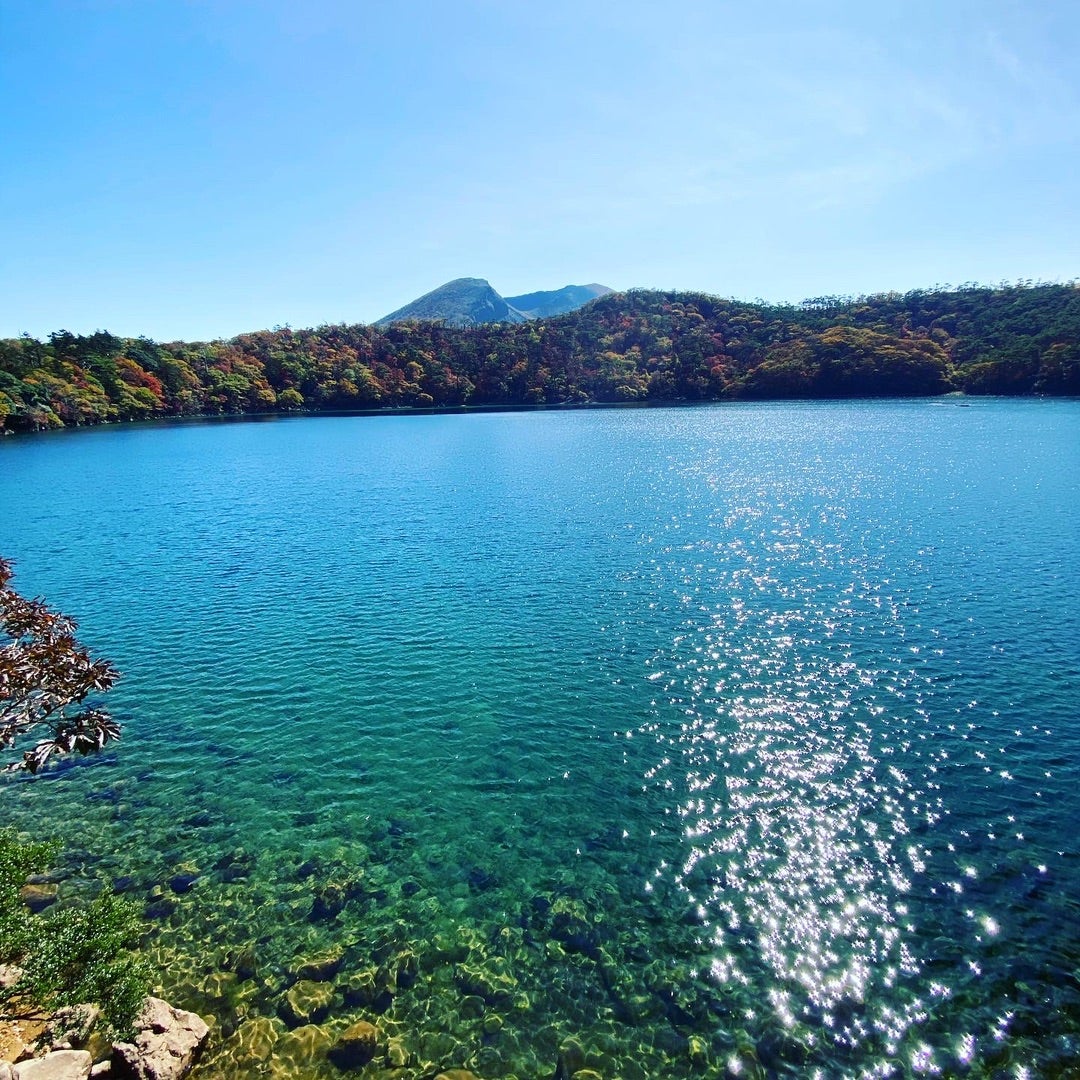 宮崎 鹿児島 えびの高原 紅葉シーズンお散歩 はるばんびーののブログ