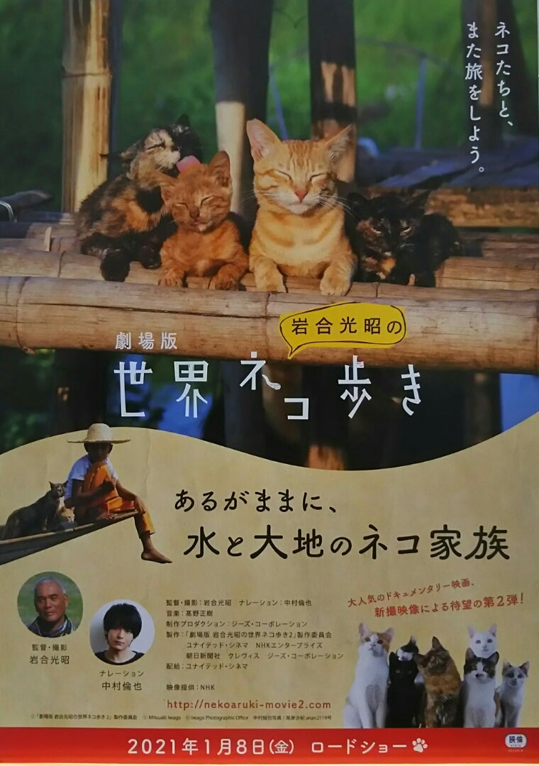 劇場版 岩合光昭の世界ネコ歩き | シネマ係長の秘密基地