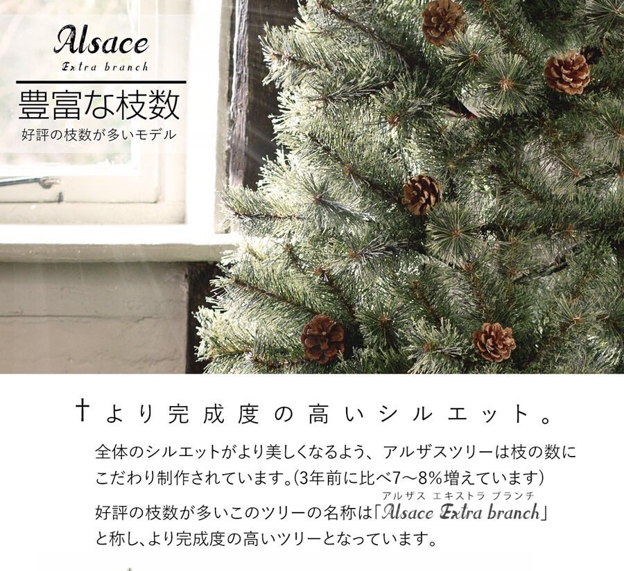 11店舗め 枝が素敵なクリスマスツリー♡ | まぁちゃんの趣味＆ゆる子育てdiary