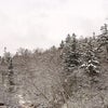 冬タイヤ必須！トムラウシ温泉への道路の積雪状況の画像
