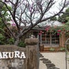 ■SAKURA 与那国島■ ここで暮らしたくなる日本最西端の島にあるステキすぎる宿の画像