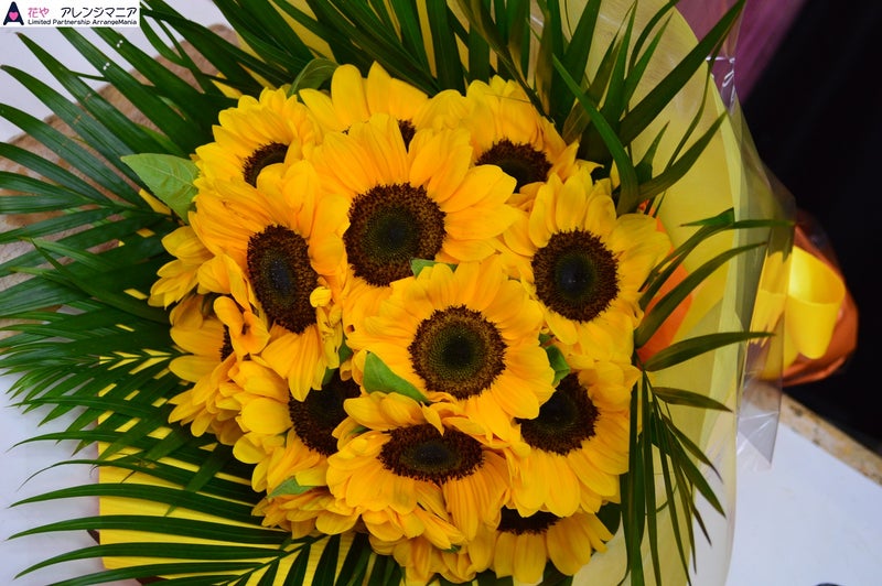 沖縄県でプロポーズにひまわりの花束 花屋アレンジマニア 沖縄で御祝のお花のお届けします 花屋アレンジマニア