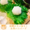 【YouTubeレシピ 】サバ缶で！お魚ハンバーグの画像