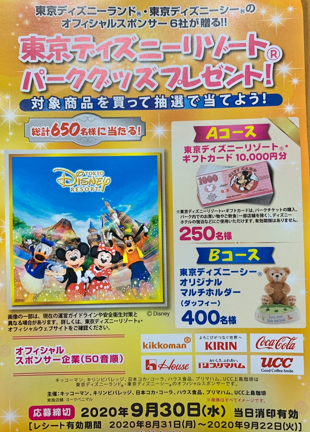 当選品 ディズニーギフトカード1万円分 | リトルプリンセスママのブログ