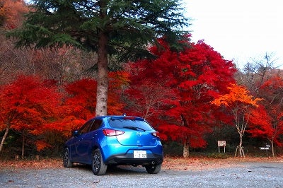 茨城高萩市 花貫渓谷の紅葉がキレイ Italiaspeedのロックな毎日