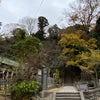 鎌倉五山巡り③の画像