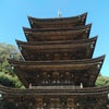 瑠璃光寺五重塔の画像