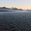 霜と朝もやの画像