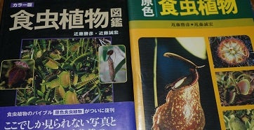 食虫植物の本 | 植物の間のブログ2 食虫植物の本 | 植物の間のブログ2