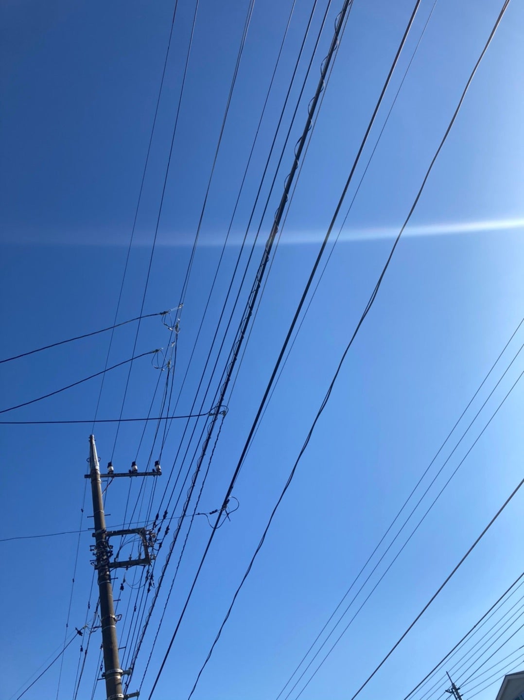 もう限界 東京電力に電線の鳥フン対策を依頼 わたしの暮らし 建売4人 1匹暮らし もう限界 東京電力に電線の鳥フン対策を依頼 わたしの暮らし 建売4人 1匹暮らし
