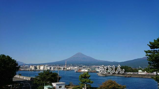 富士山 浜名湖湖畔から きりんの日記 富士山周辺観光