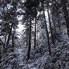 雪の日光白根の画像