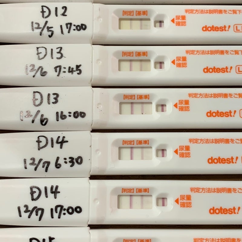 ドゥーテストLH 排卵検査薬の説明書 19枚