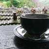 【沖縄】森の中でシーサーが待つ古民家カフェへの画像