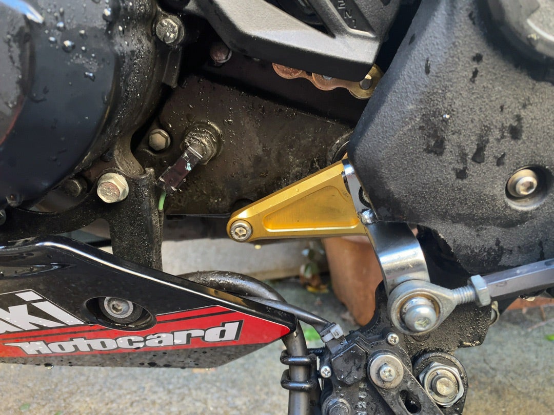 Ninja250SL ゴムキャップ撲滅計画(イニシャルアジャスター Ninja250SL ゴムキャップ撲滅計画(イニシャルアジャスター