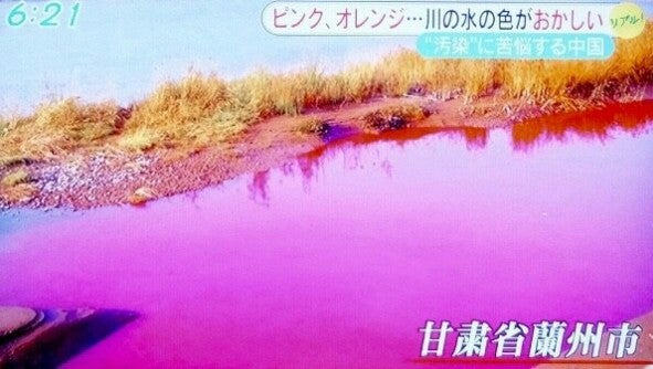 IMG_20201210_062219.jpg
