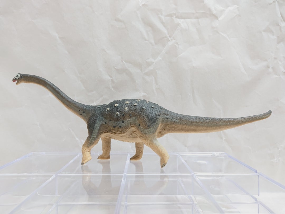 初回限定お試し価格 サファリ フィギュア  アパトサウルス 300429 恐竜  レプリカ