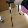杖くんの画像